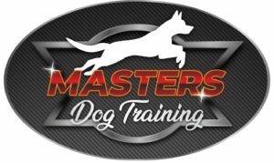 Masters Dog Training